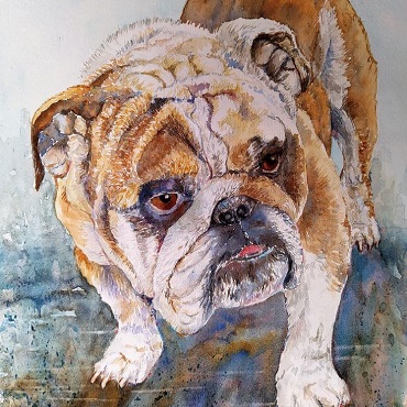 The 'old' British Buldog